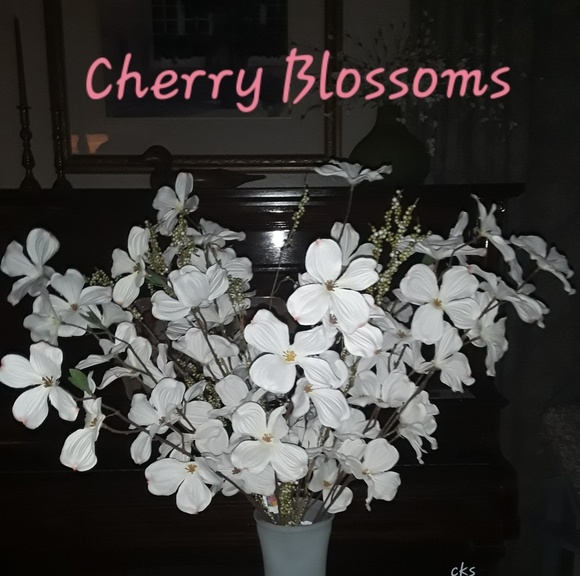 Mimi's Nostalgia Closet Poshland USA - Picture 5 of 8